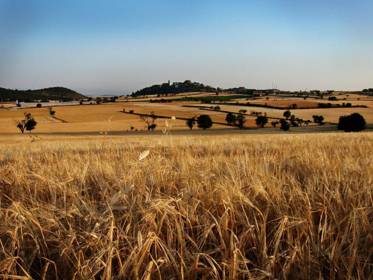La Granja Del Besa Vendégház Cubells Kültér fotó